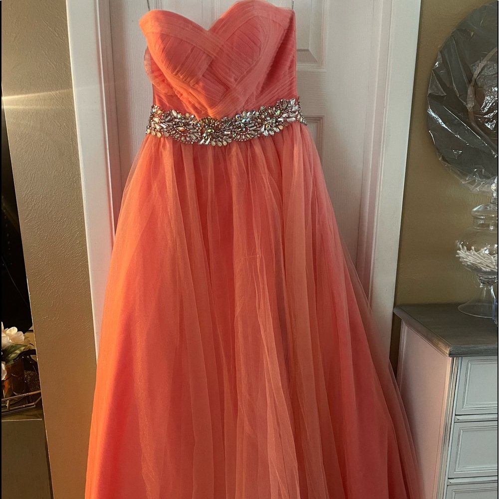 Alyce Paris gown